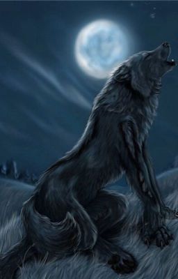 Нежный Зверь