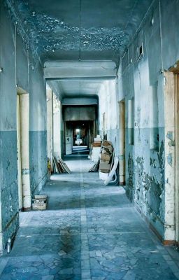 Дом сумасшедших