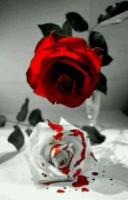 Кровь и Роза