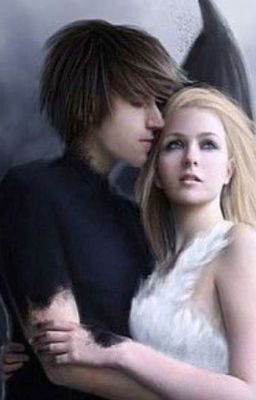 Нарушая все правила