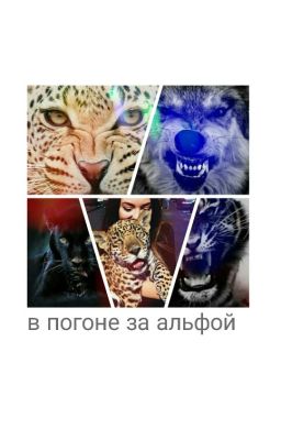 в погоне за альфой