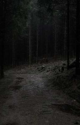 следы времени 