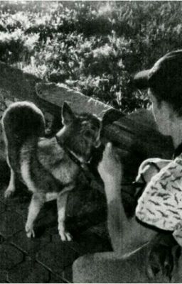 счастье в мелочах