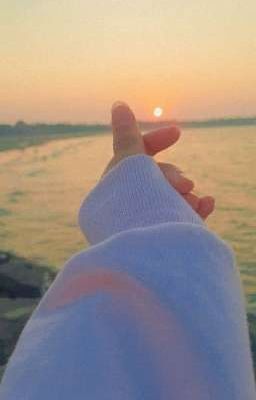 Школьная жизнь✨