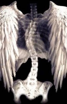 святое царство