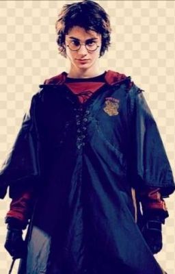 Придирчивый Поттер