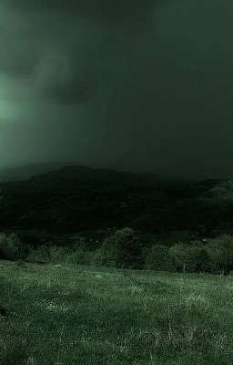 Волчица среди людей