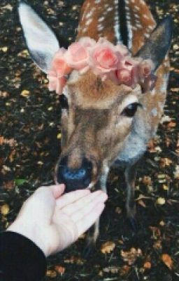 Сказка О Волшебстве Часть 1.0