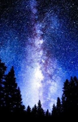 Ксерокопия счастья