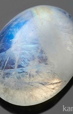 Цветок Лунного Жемчуга