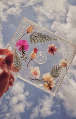 Эстетичные Картинки