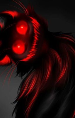 Истории одной иллюзии