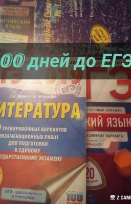 100 дней до ЕГЭ🕥📕📘📖.Мой путь к успеху.