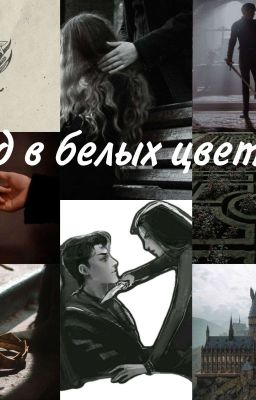 Яд в белых цветах