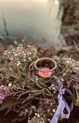 Ведьмин домик