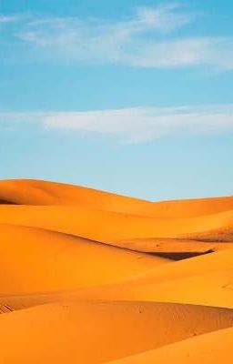 Исторические байки: Битва за топливо.