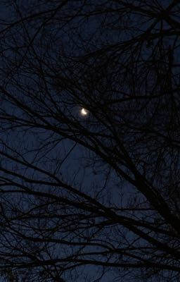 трагически далёкие возлюбленные в душераздирающей войне