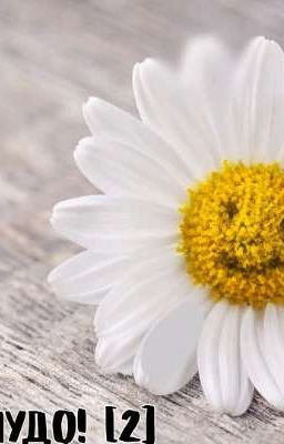 моя кошка чудо! [2]