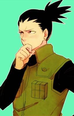 Новая жизнь 