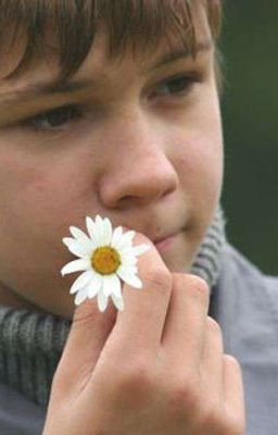 сукины дети