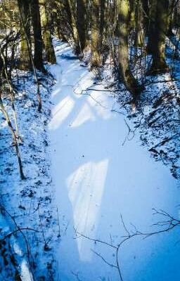 Записи заплутавшей души