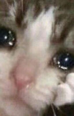 От ненависти до свадьбы один шаг