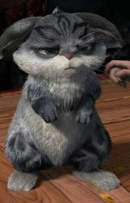 Пасхальный кролик 🐇🐇🐇