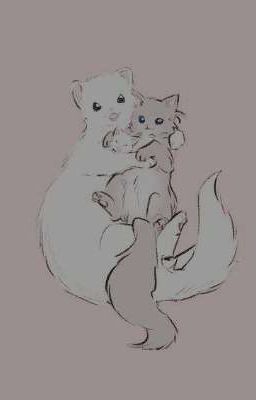 Он нежный котик, а он злой хорёк