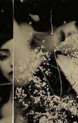 И снова незнакомки