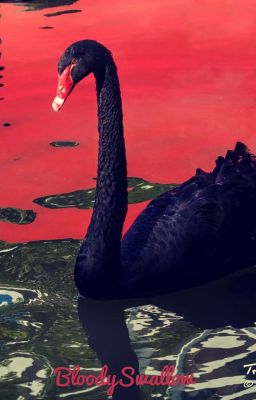 Чёрный лебедь над кровавым озером
