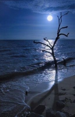 Талант Не Скроешь И Он Не Убежит 