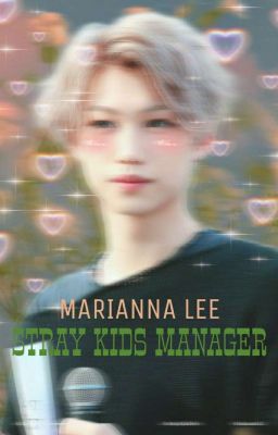Я менеджер Stray Kids!