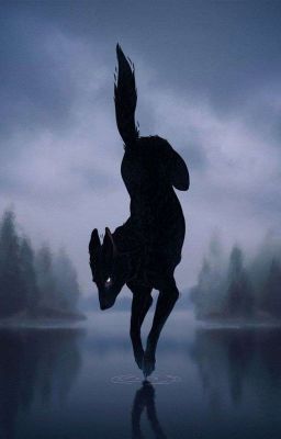 Он моя судьба