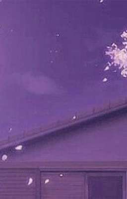 Лепестки сакуры