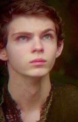 Пэн. Путешествие в Нетландию.