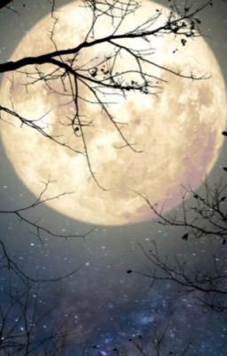 Лунный свет