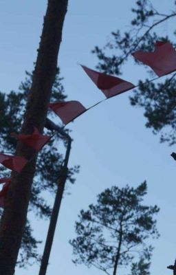 Ночью, в тёмном лесу, пионеры разжигали костёр