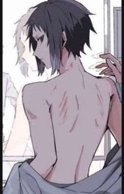 Реакции по Бродячим Псам