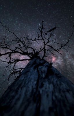 Грустные истории(((