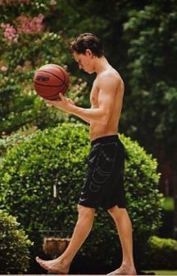 Мистер Хохланд