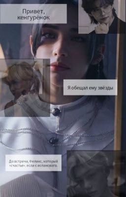 Я обещал ему звезды 