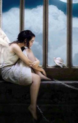 Крылья, подаренные небесами