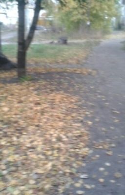 Хеллуинская ночь