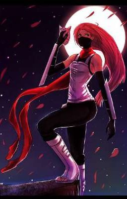 Ночная лисица 2(Продолжение ~)