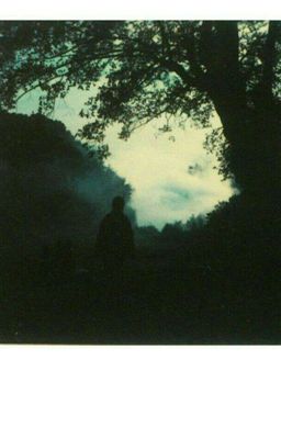 Фото, на котором мы живем 