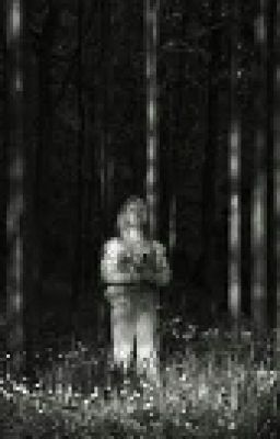 Сумашествие.