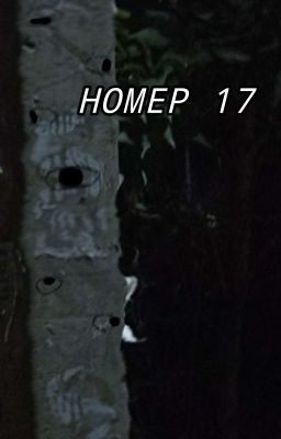 Номер 17