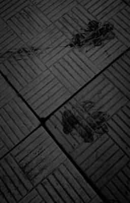 Истории путешественника во времени