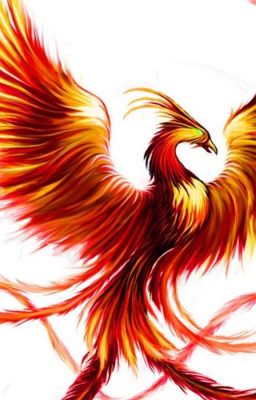 Возрождаясь из пепла...