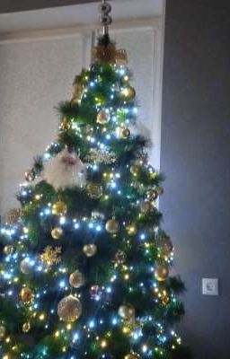 Подари мне танец под Новый Год.